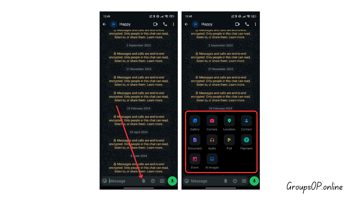 WhatsApp → Attachment Options